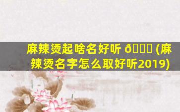 麻辣烫起啥名好听 🐎 (麻辣烫名字怎么取好听2019)